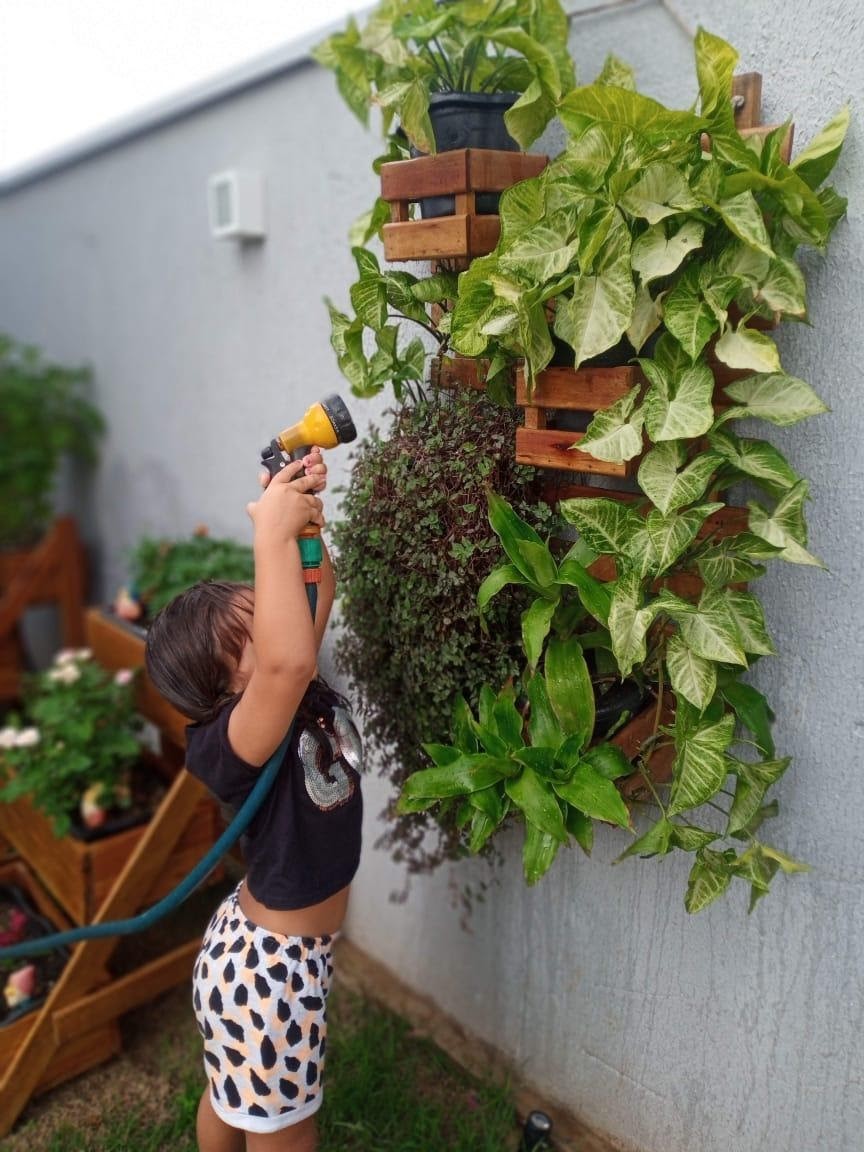 Pandemia e isolamento aumentam procura por cultivo de plantas em casa